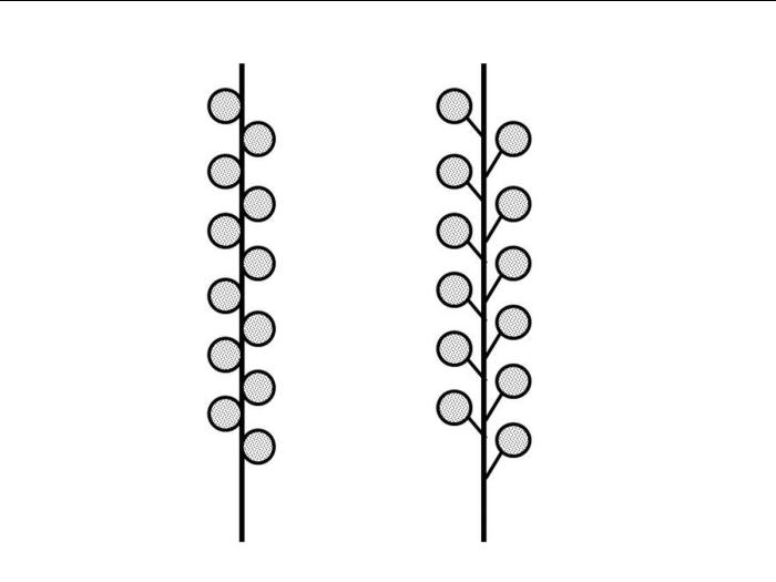 Identification_FleurÉpi