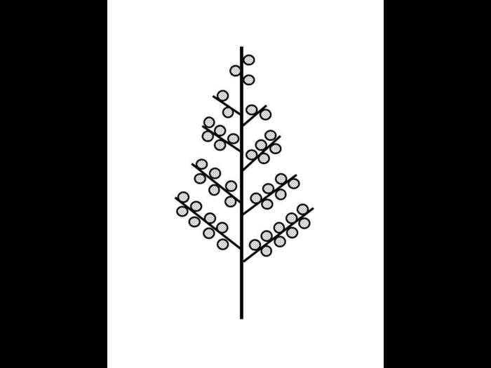 Identification_InflPanicule