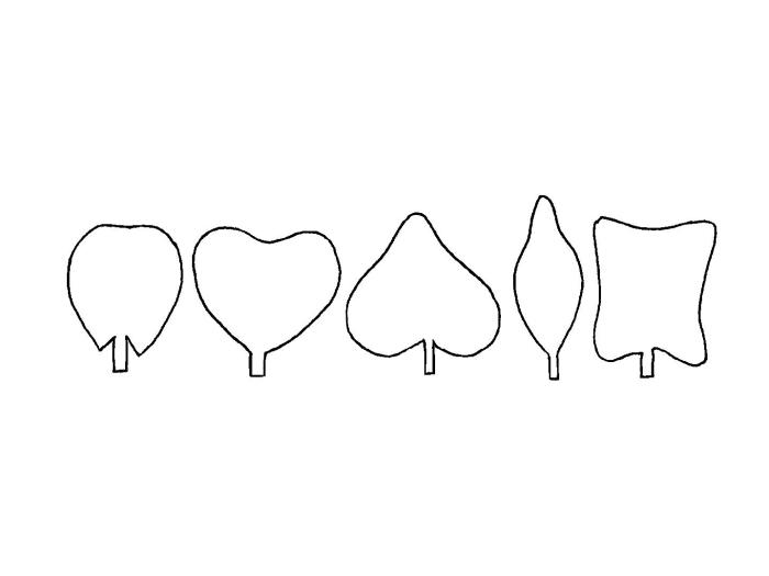 Identification_AutreCotyledon