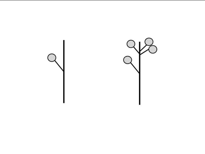 Identification_FleurIsolée