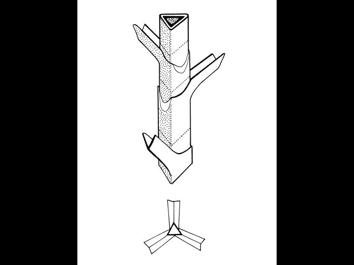 Identification_TigeTriangle