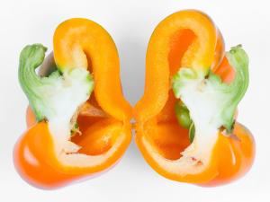 Poivron - Température basse de l'air (froid)