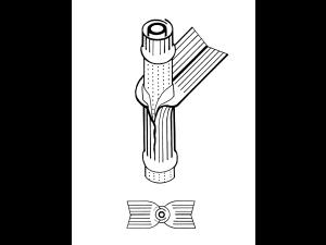 Identification_TigeGraminee