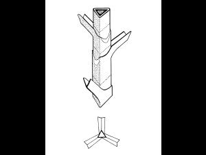 Identification_TigeTriangle