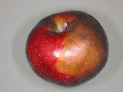 Pomme - Excès de dioxyde de carbone (CO2)_3