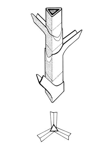 Identification_TigeTriangle